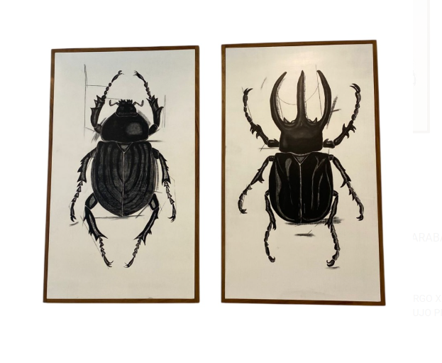 CUADRO ESCARABAJO